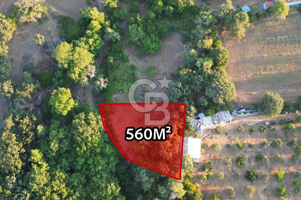 ÇANAKKALE MERKEZ KÖY SALİHLER 560 M² KÖYE YAKIN SATILIK ARAZİ