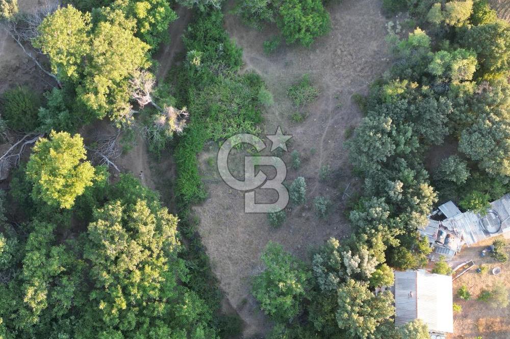 ÇANAKKALE MERKEZ KÖY SALİHLER 560 M² KÖYE YAKIN SATILIK ARAZİ