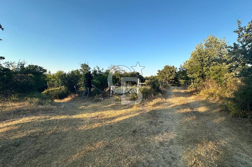 ÇANAKKALE MERKEZ KÖY SALİHLER 560 M² KÖYE YAKIN SATILIK ARAZİ