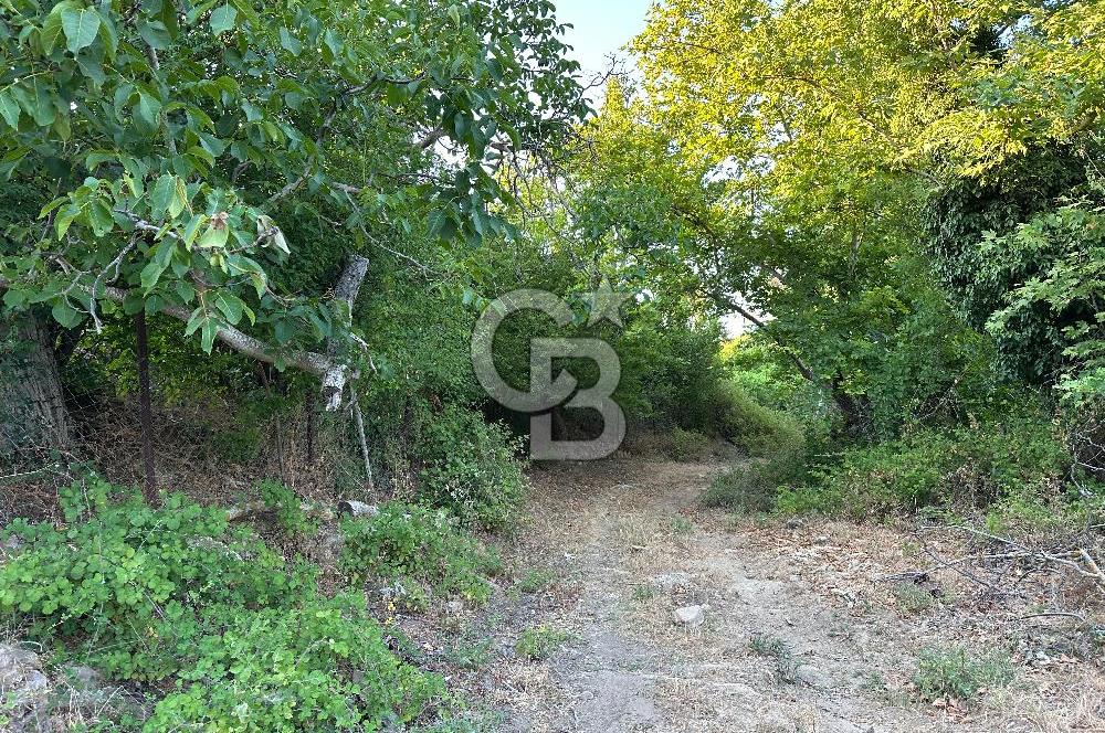 ÇANAKKALE MERKEZ KÖY SALİHLER 560 M² KÖYE YAKIN SATILIK ARAZİ