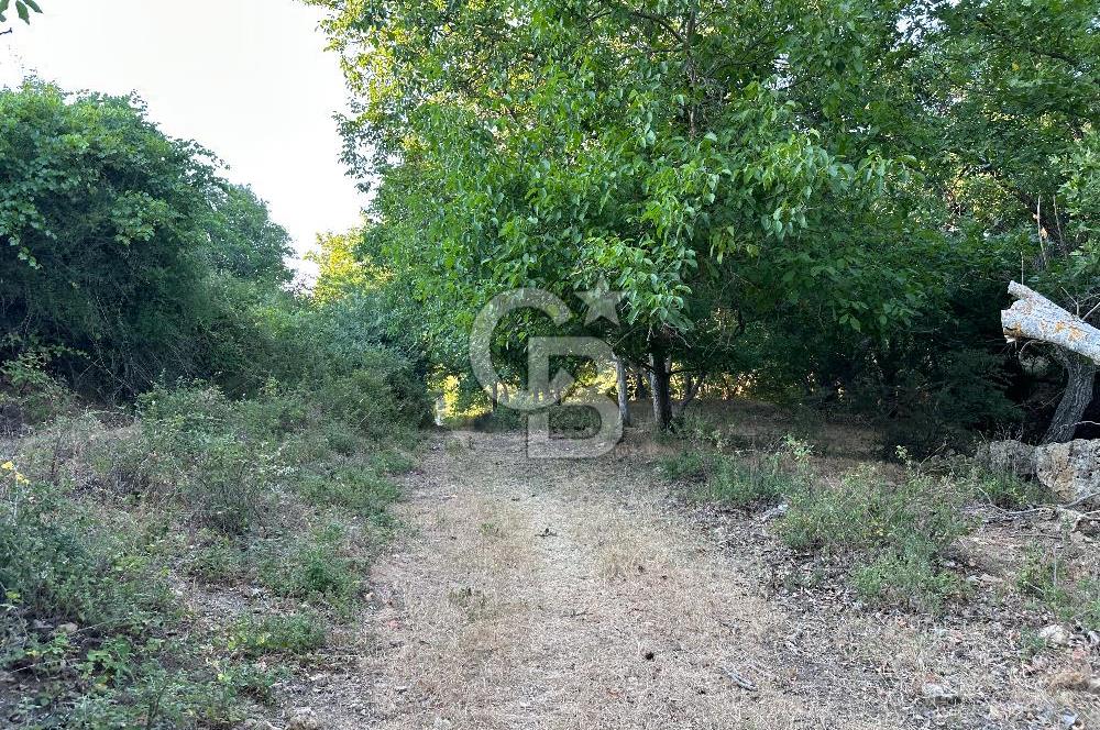 ÇANAKKALE MERKEZ KÖY SALİHLER 560 M² KÖYE YAKIN SATILIK ARAZİ