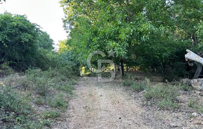 ÇANAKKALE MERKEZ KÖY SALİHLER 560 M² KÖYE YAKIN SATILIK ARAZİ
