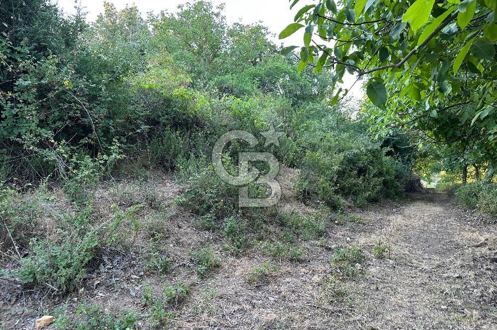 ÇANAKKALE MERKEZ KÖY SALİHLER 560 M² KÖYE YAKIN SATILIK ARAZİ
