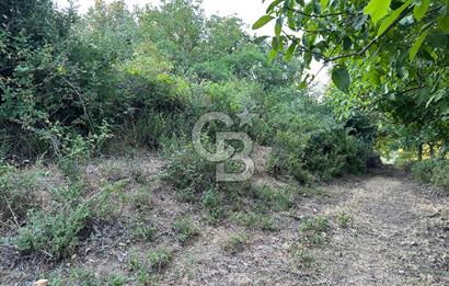 ÇANAKKALE MERKEZ KÖY SALİHLER 560 M² KÖYE YAKIN SATILIK ARAZİ