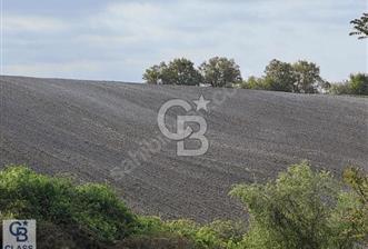 CB CLASS YATIRIMLIK 21 DÖNÜM FIRSAT ARAZİ SUSURLUK BALIKESİR