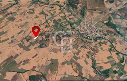 ÇANAKKALE BİGA KARANTI KÖYÜNDE SATILIK ARAZİ 