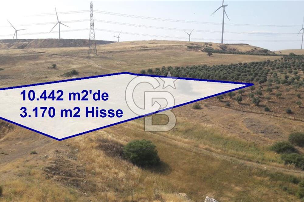 TOKİ Projesine Komşu Yatırıma Uygun 3.170 m2 Tarla Hissesi