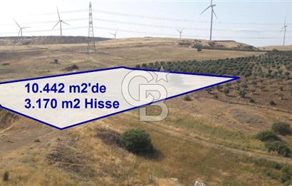 TOKİ Projesine Komşu Yatırıma Uygun 3.170 m2 Tarla Hissesi
