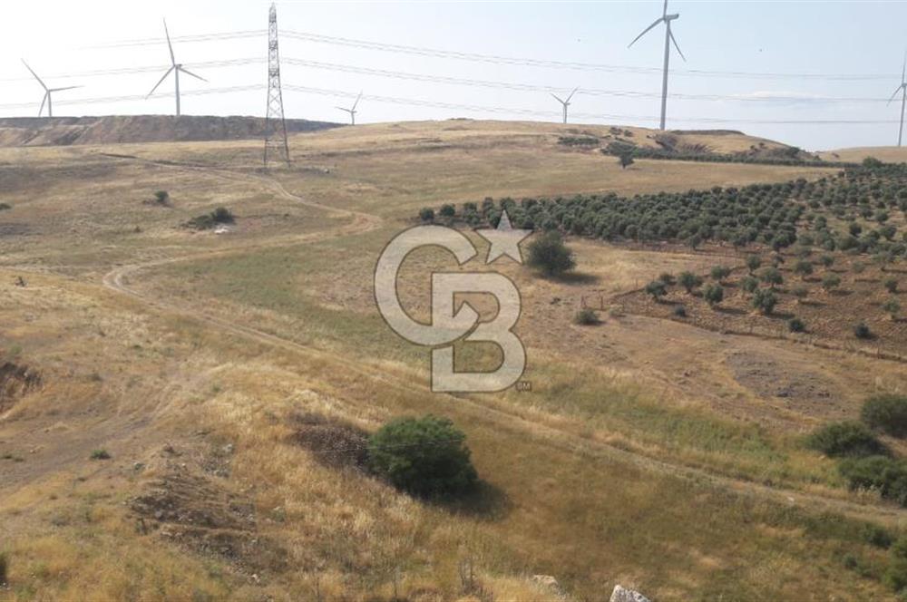 TOKİ Projesine Komşu Yatırıma Uygun 3.170 m2 Tarla Hissesi