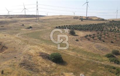 TOKİ Projesine Komşu Yatırıma Uygun 3.170 m2 Tarla Hissesi