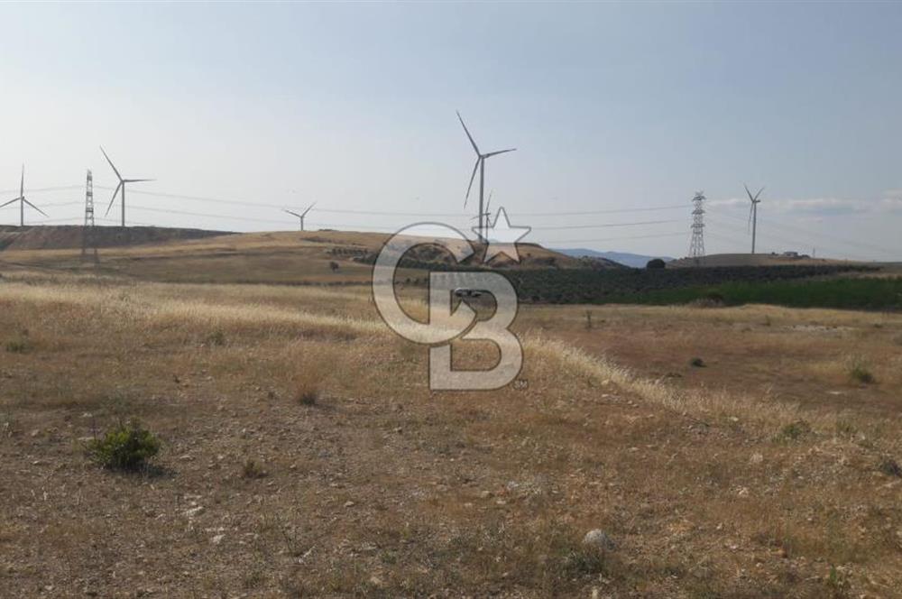 TOKİ Projesine Komşu Yatırıma Uygun 3.170 m2 Tarla Hissesi
