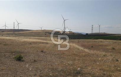 TOKİ Projesine Komşu Yatırıma Uygun 3.170 m2 Tarla Hissesi