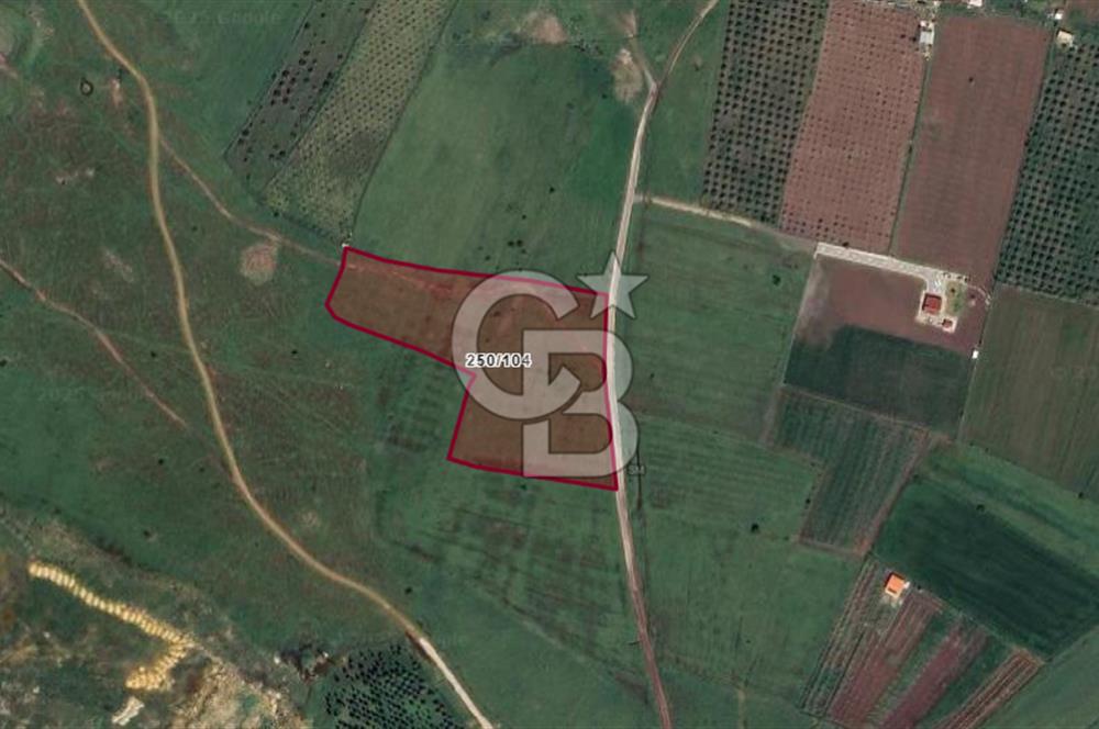 Güzelhisar'da Tarım ve Hayvancılığa Uygun Yola Cephe 17.285 m2