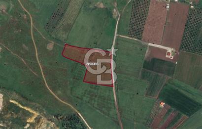 Güzelhisar'da Tarım ve Hayvancılığa Uygun Yola Cephe 17.285 m2