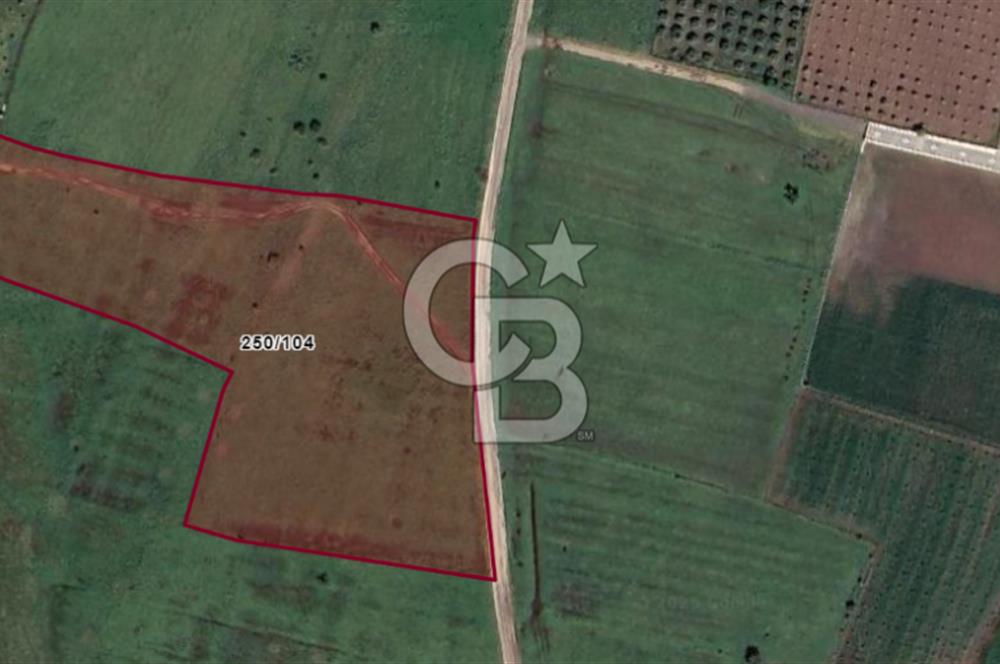 Güzelhisar'da Tarım ve Hayvancılığa Uygun Yola Cephe 17.285 m2