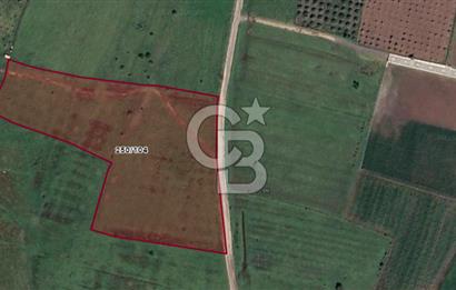 Güzelhisar'da Tarım ve Hayvancılığa Uygun Yola Cephe 17.285 m2