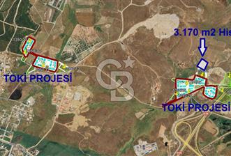 TOKİ Projesine Komşu Yatırıma Uygun 3.170 m2 Tarla Hissesi