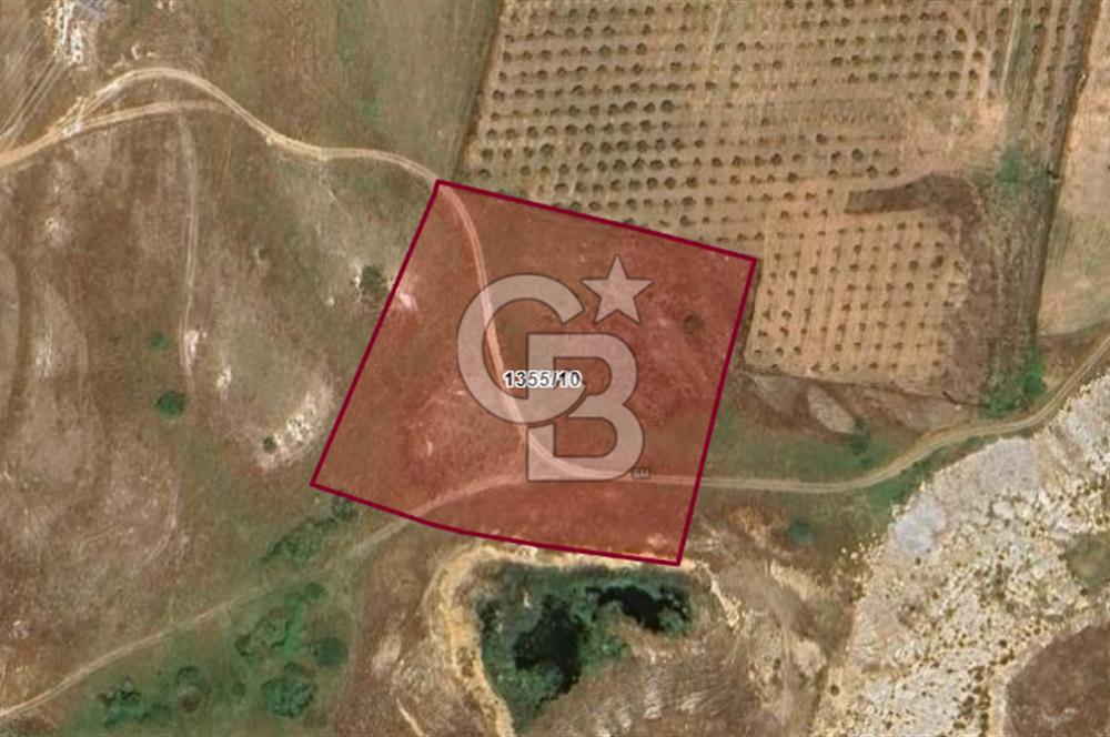 TOKİ Projesine Komşu Yatırıma Uygun 3.170 m2 Tarla Hissesi