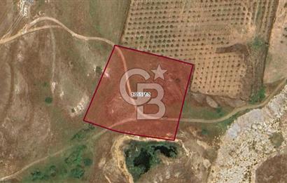 TOKİ Projesine Komşu Yatırıma Uygun 3.170 m2 Tarla Hissesi