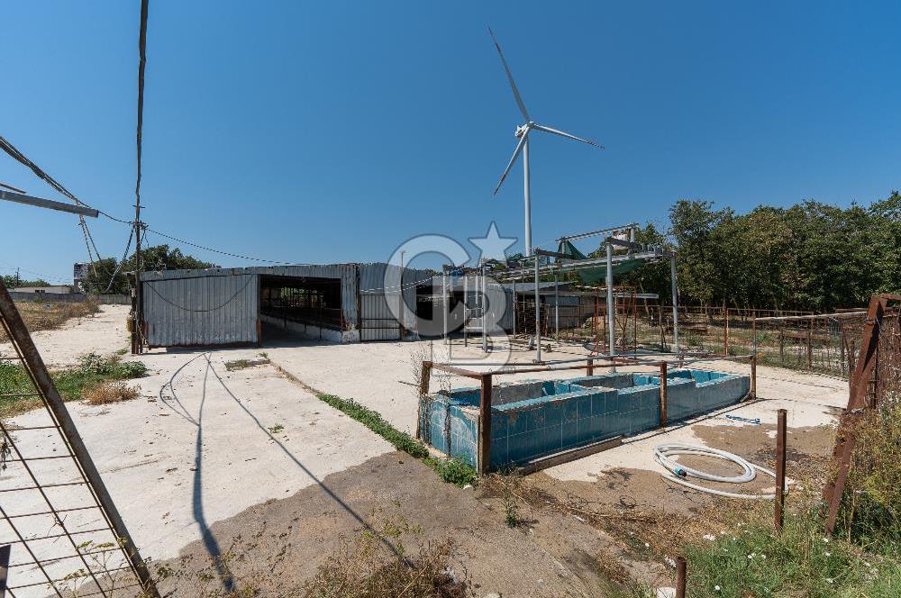 SİLİVRİ -SAYALAR -16DÖNÜMDE -YARI ENTEGRE BESİ ÇİFTLİĞİ +3 VİLLA