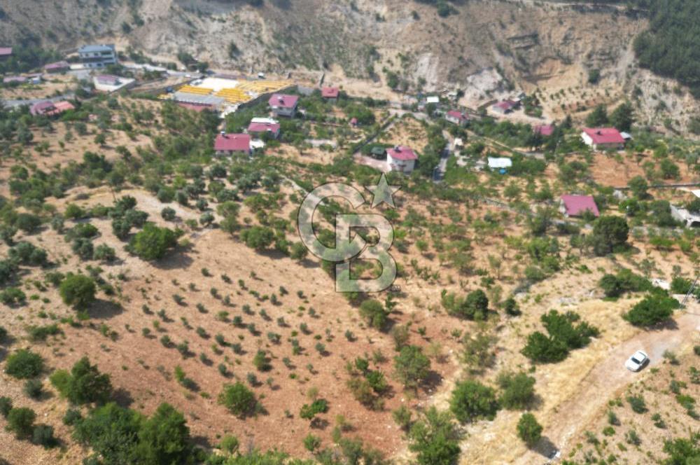 CB'DEN KANDIL'DA HARİKA MANZARALI SATILIK BAĞ EVİ VE BAHÇE