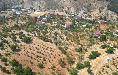 CB'DEN KANDIL'DA HARİKA MANZARALI SATILIK BAĞ EVİ VE BAHÇE