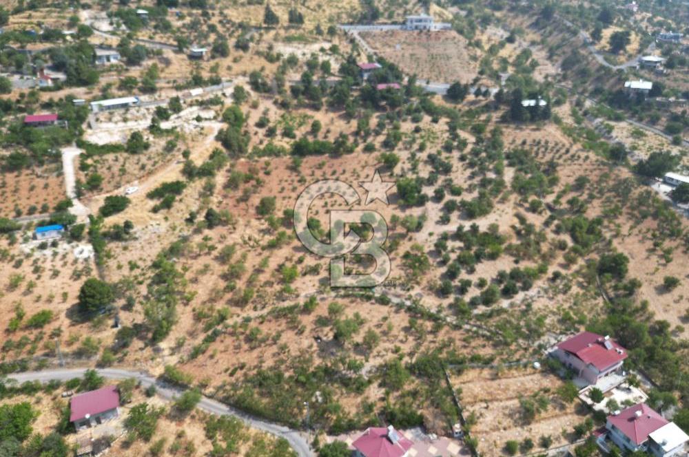 CB'DEN KANDIL'DA HARİKA MANZARALI SATILIK BAĞ EVİ VE BAHÇE