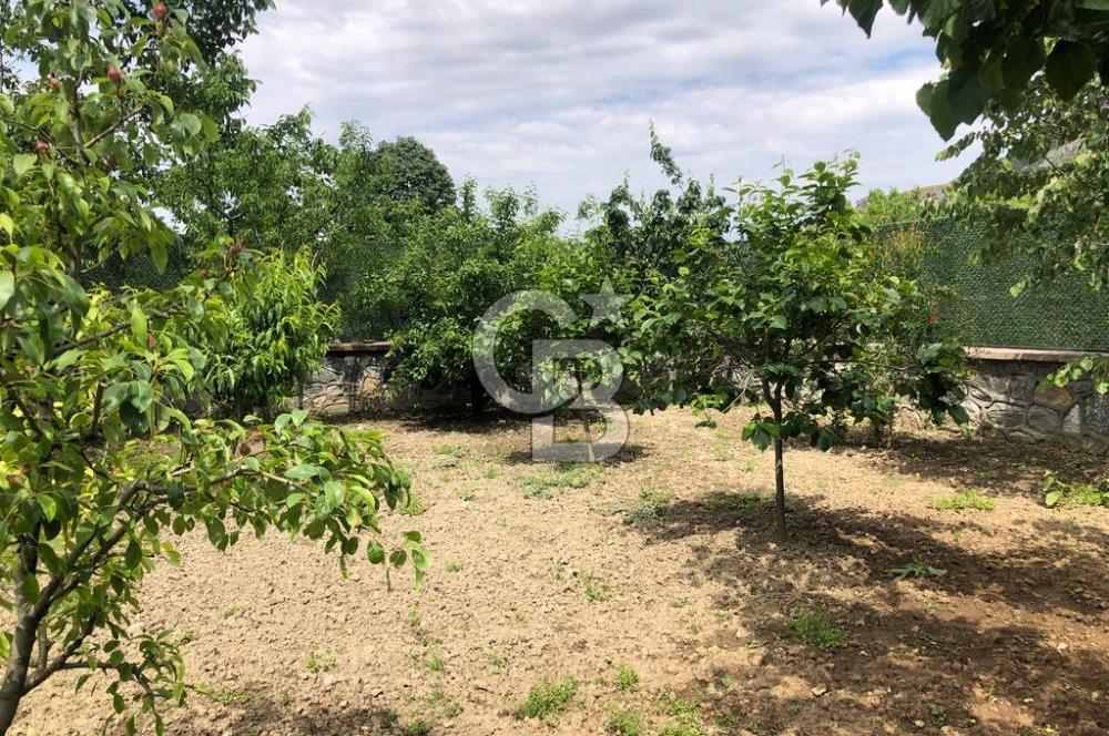 CB CLASS KESTEL DEREKIZIK YOLA CEPHE 1.404m² BAKIMLI HAZIR BAHÇE