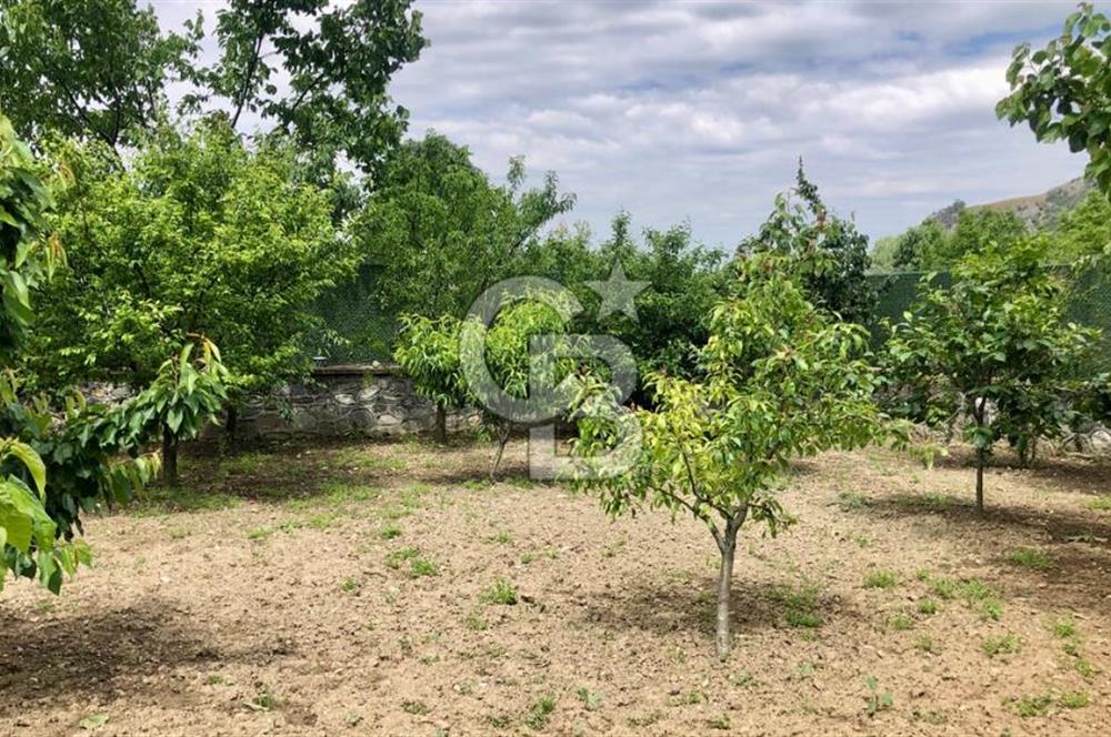 CB CLASS KESTEL DEREKIZIK YOLA CEPHE 1.404m² BAKIMLI HAZIR BAHÇE