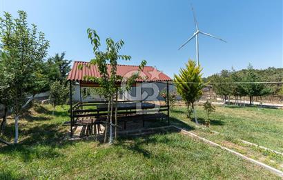 SİLİVRİ -SAYALAR -16DÖNÜMDE -YARI ENTEGRE BESİ ÇİFTLİĞİ +3 VİLLA