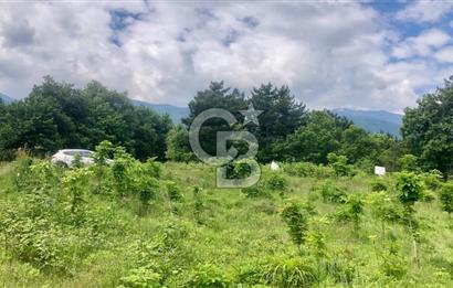 CB CLASS KESTEL GÖZEDE KÖŞE PARSEL 3.302 m² MÜSTAKİL TARLA