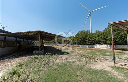 SİLİVRİ -SAYALAR -16DÖNÜMDE -YARI ENTEGRE BESİ ÇİFTLİĞİ +3 VİLLA