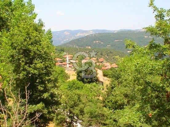 Balıkesir Dursunbey Akbaşlar’da Müstakil Tapulu 1220 m² Arsa – Yatırımlık Fırsat!