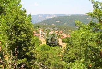 Balıkesir Dursunbey Akbaşlar’da Müstakil Tapulu 1220 m² Arsa – Yatırımlık Fırsat!