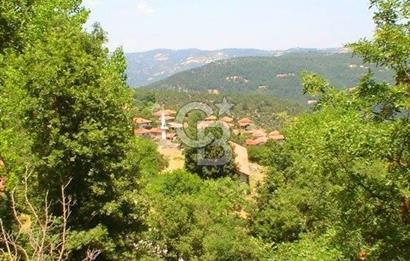 Balıkesir Dursunbey Akbaşlar’da Müstakil Tapulu 1220 m² Arsa – Yatırımlık Fırsat!