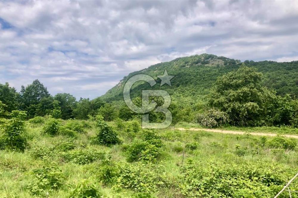 CB CLASS KESTEL GÖZEDE KÖŞE PARSEL 3.302 m² MÜSTAKİL TARLA