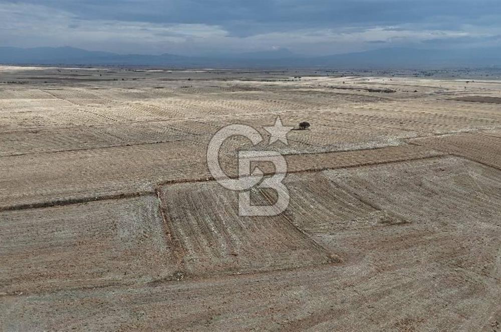 Çivril Bozdağ’da Kadastro Yola Cepheli, 4950 m² Müstakil Tapulu Tarla!