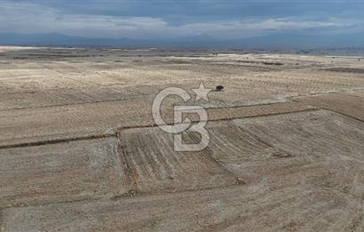 Çivril Bozdağ’da Kadastro Yola Cepheli, 4950 m² Müstakil Tapulu Tarla!