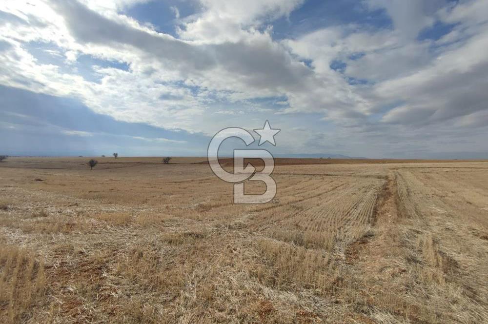 Çivril Bozdağ’da Kadastro Yola Cepheli, 4950 m² Müstakil Tapulu Tarla!