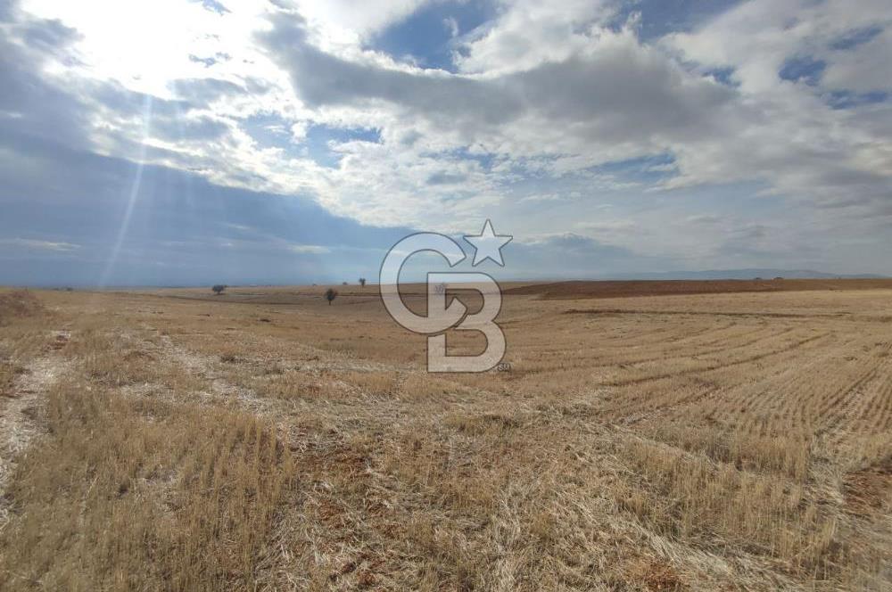 Çivril Bozdağ’da Kadastro Yola Cepheli, 4950 m² Müstakil Tapulu Tarla!