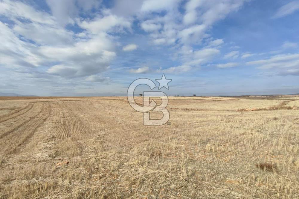 Çivril Bozdağ’da Kadastro Yola Cepheli, 4950 m² Müstakil Tapulu Tarla!