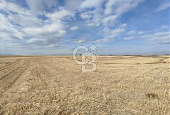 Çivril Bozdağ’da Kadastro Yola Cepheli, 4950 m² Müstakil Tapulu Tarla!