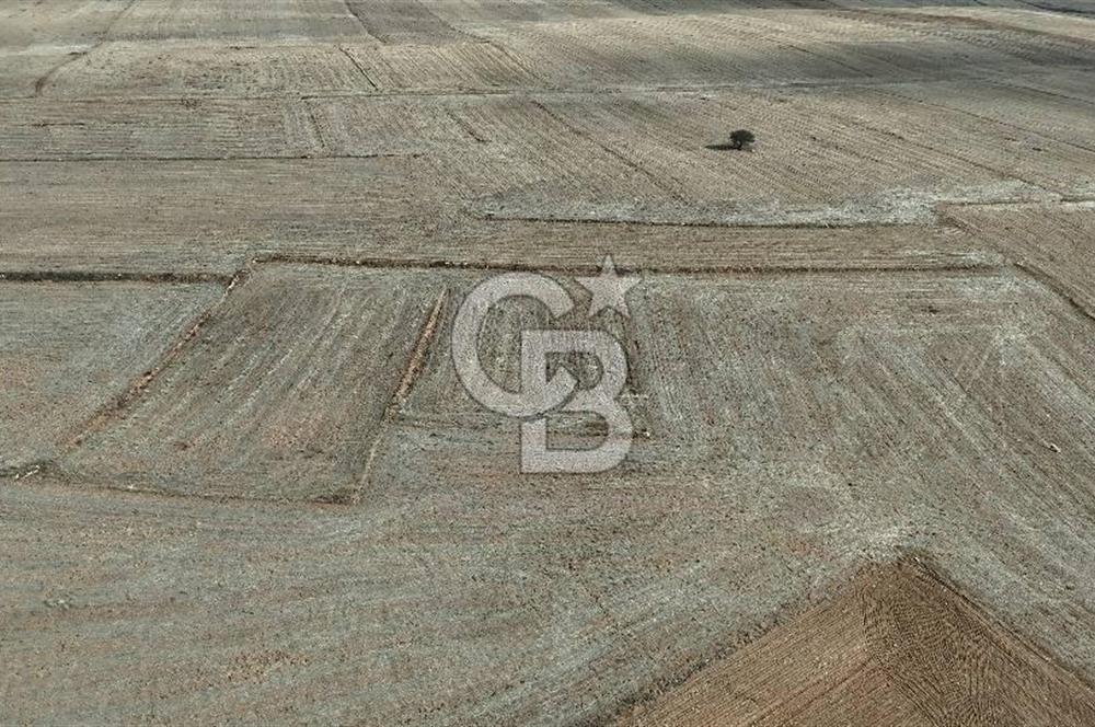 Çivril Bozdağ’da Kadastro Yola Cepheli, 4950 m² Müstakil Tapulu Tarla!