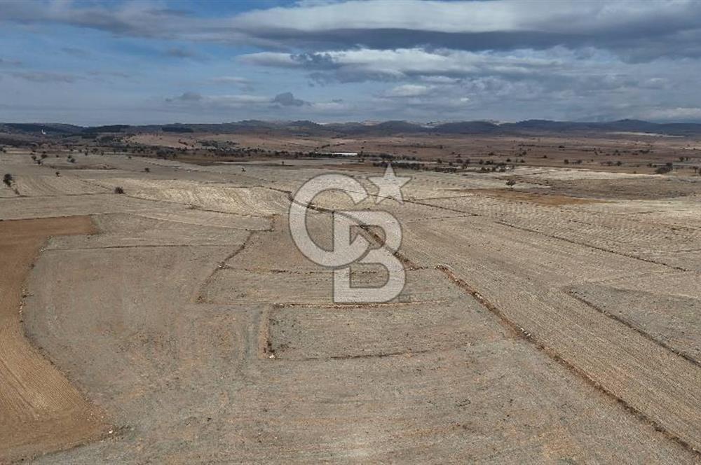 Çivril Bozdağ’da Kadastro Yola Cepheli, 4950 m² Müstakil Tapulu Tarla!