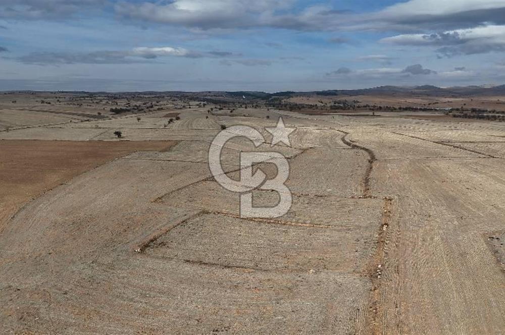 Çivril Bozdağ’da Kadastro Yola Cepheli, 4950 m² Müstakil Tapulu Tarla!