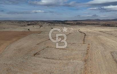Çivril Bozdağ’da Kadastro Yola Cepheli, 4950 m² Müstakil Tapulu Tarla!