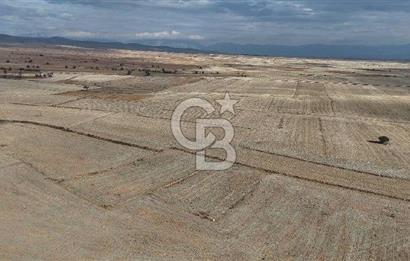Çivril Bozdağ’da Kadastro Yola Cepheli, 4950 m² Müstakil Tapulu Tarla!