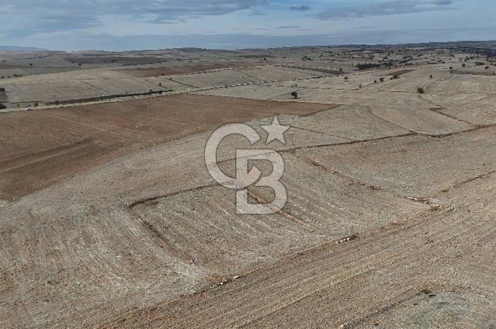 Çivril Bozdağ’da Kadastro Yola Cepheli, 4950 m² Müstakil Tapulu Tarla!