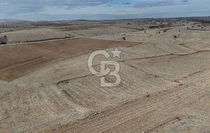 Çivril Bozdağ’da Kadastro Yola Cepheli, 4950 m² Müstakil Tapulu Tarla!