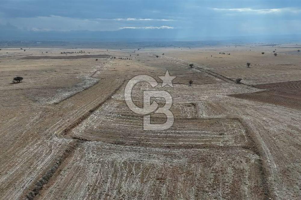 Çivril Bozdağ’da Kadastro Yola Cepheli, 4950 m² Müstakil Tapulu Tarla!